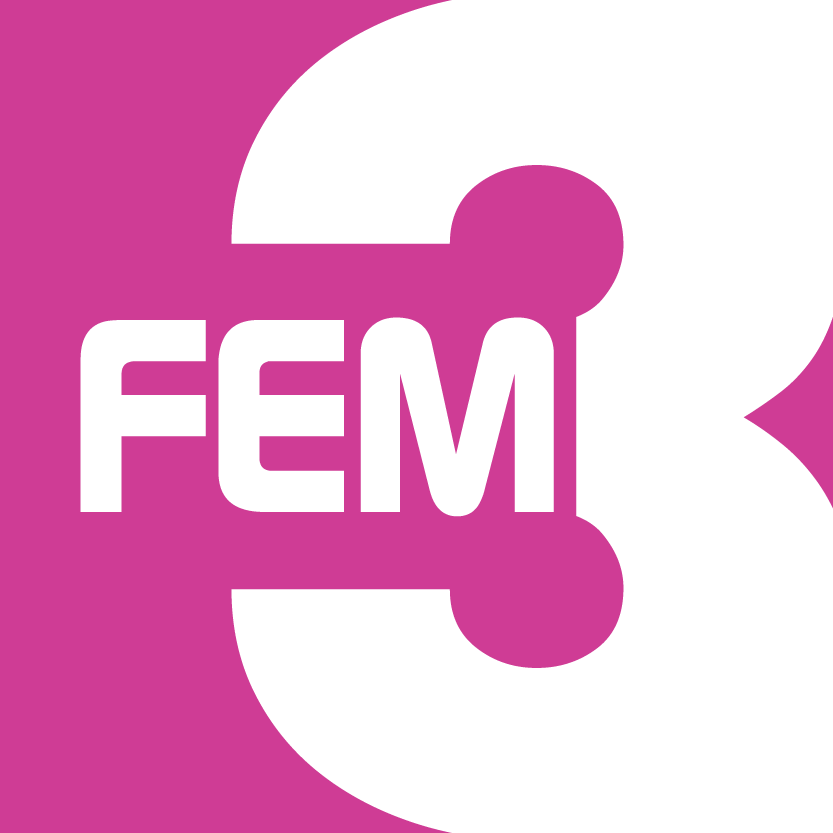 FEM3