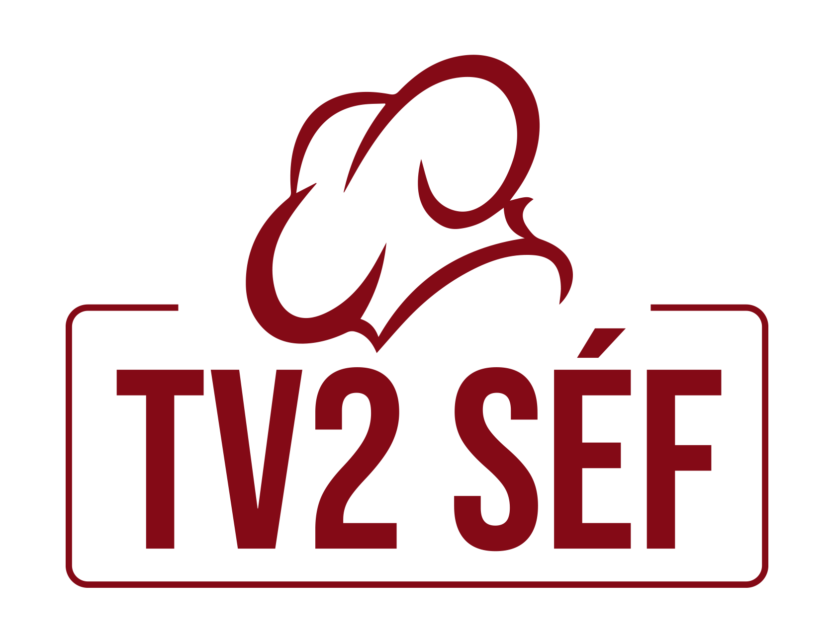 TV2 SÉF